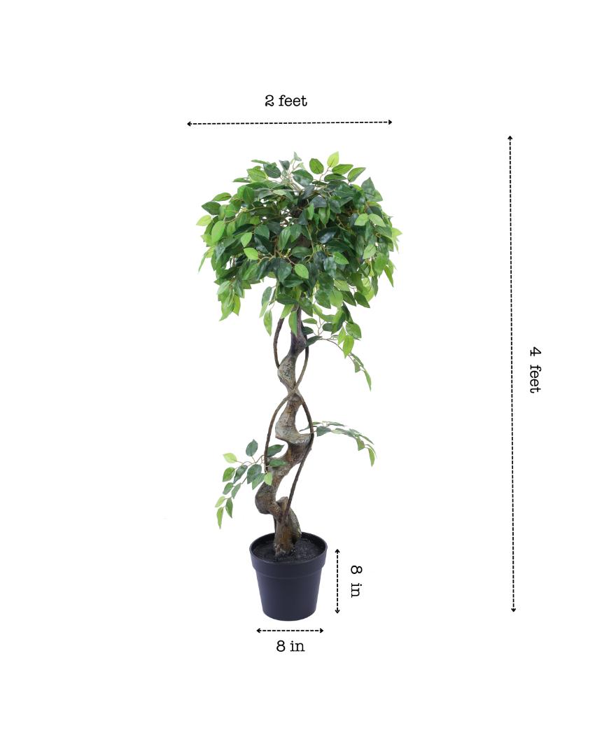 Sophisticated Artificial Ficus Bonsai with Black Pot