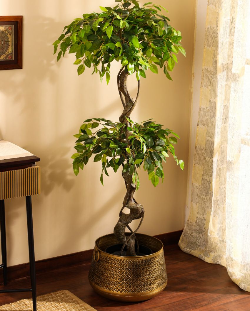 Sophisticated Artificial Ficus Bonsai with Black Pot