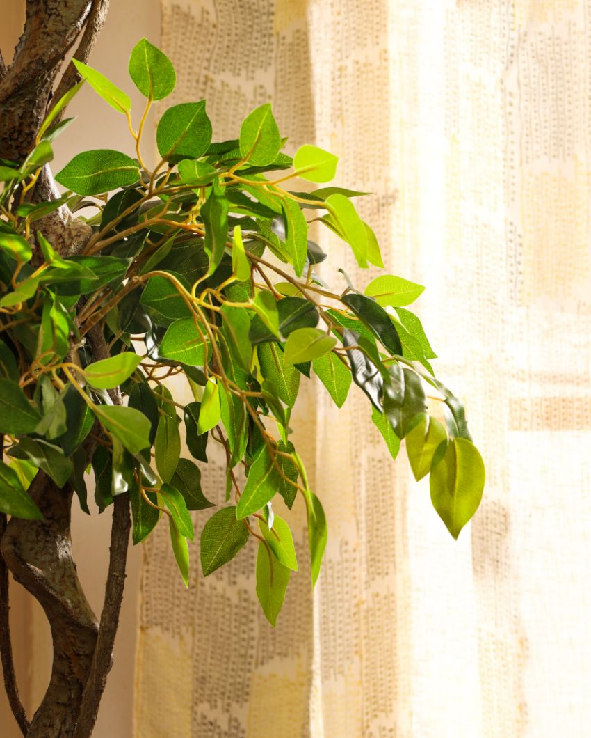 Sophisticated Artificial Ficus Bonsai with Black Pot