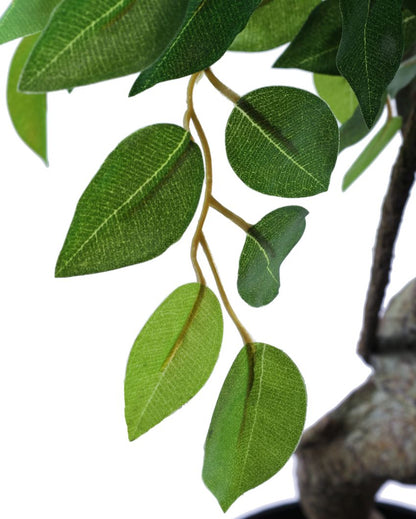 Sophisticated Artificial Ficus Bonsai with Black Pot