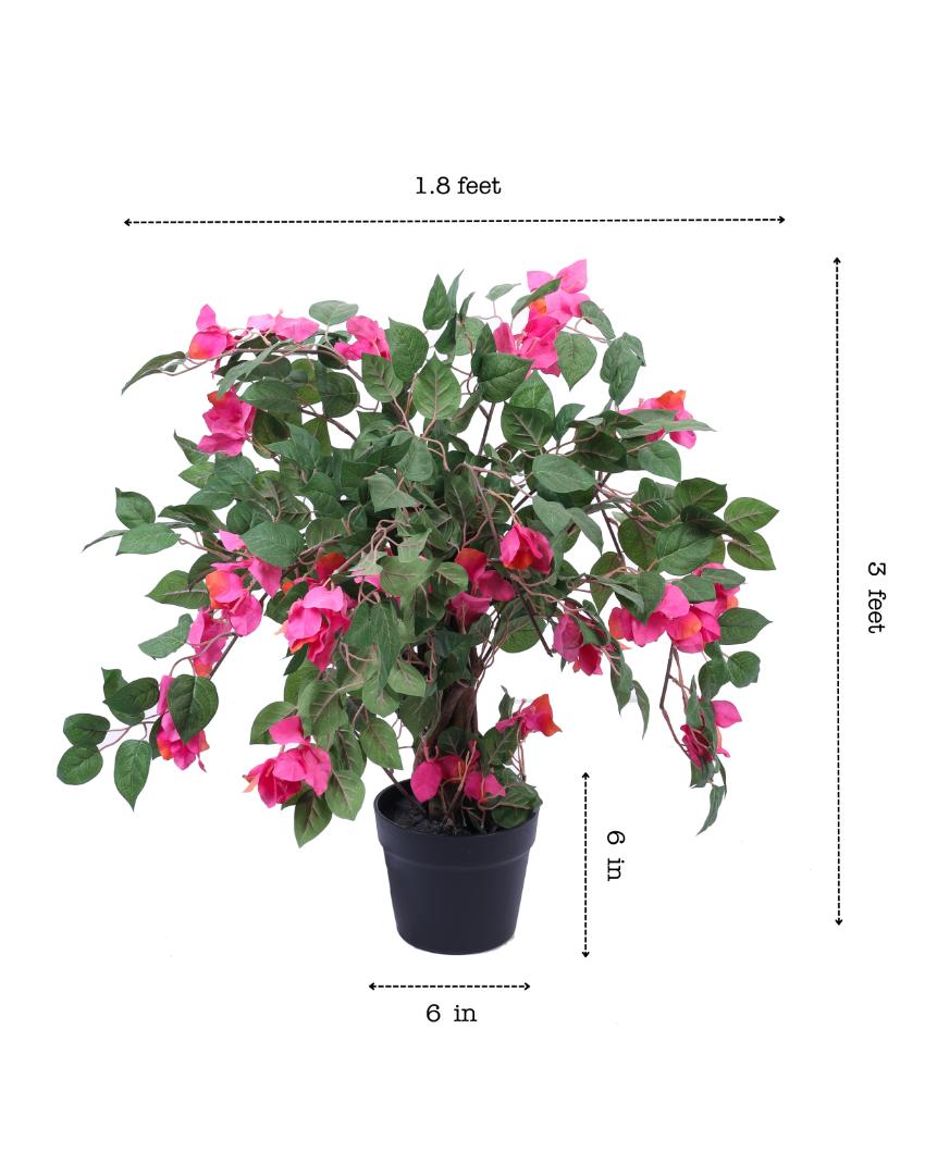 Durable Artificial Bougainvillea Bonsai Tree with Black Pot | 3 Feet