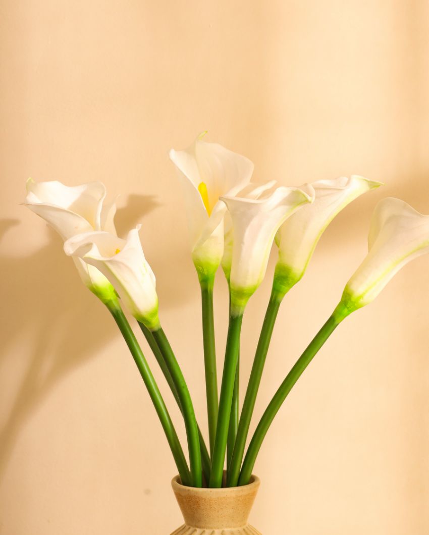 Graceful Artificial Calla Lily Flower 5 Sticks Without Pot | 28 inches