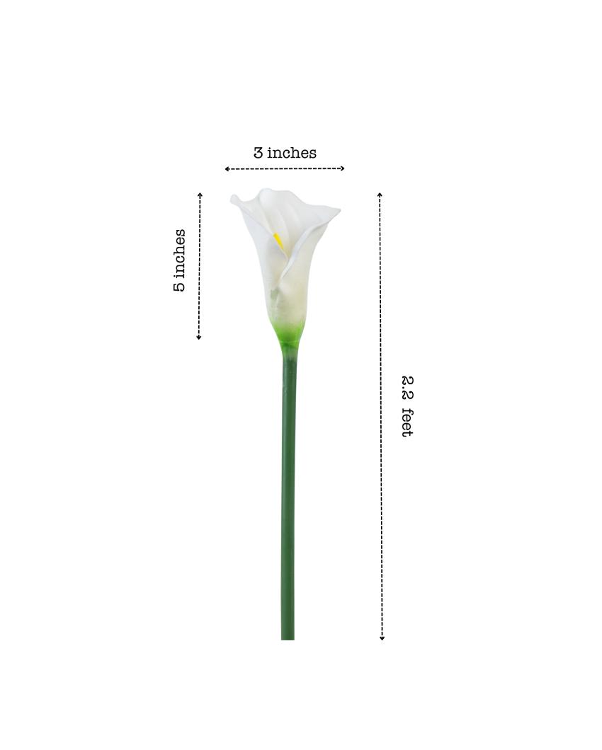 Graceful Artificial Calla Lily Flower 5 Sticks Without Pot | 28 inches