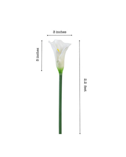 Graceful Artificial Calla Lily Flower 5 Sticks Without Pot | 28 inches