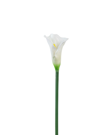 Graceful Artificial Calla Lily Flower 5 Sticks Without Pot | 28 inches