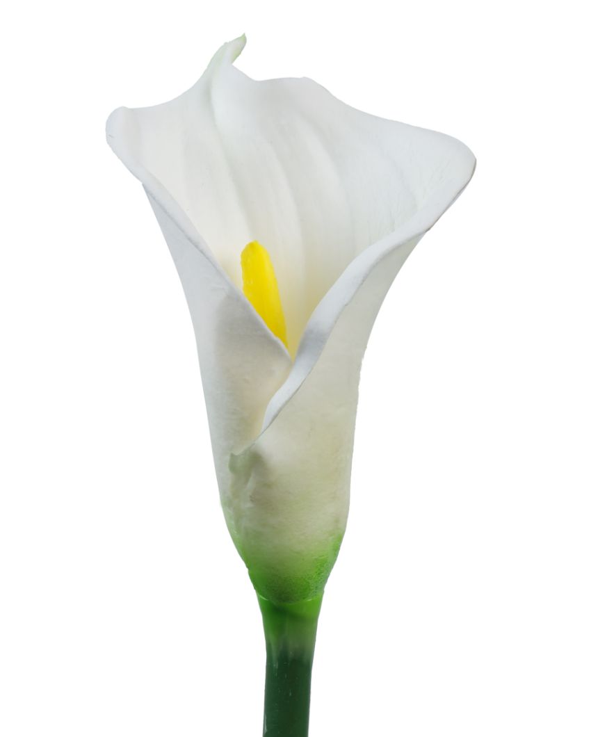 Graceful Artificial Calla Lily Flower 5 Sticks Without Pot | 28 inches