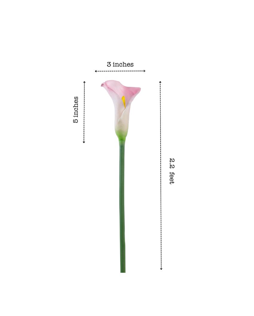 Graceful Artificial Calla Lily Flower 5 Sticks Without Pot | 28 inches