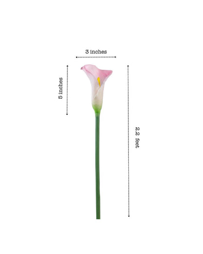 Graceful Artificial Calla Lily Flower 5 Sticks Without Pot | 28 inches