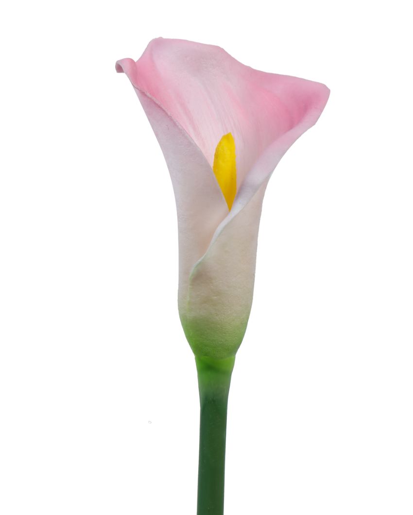 Graceful Artificial Calla Lily Flower 5 Sticks Without Pot | 28 inches