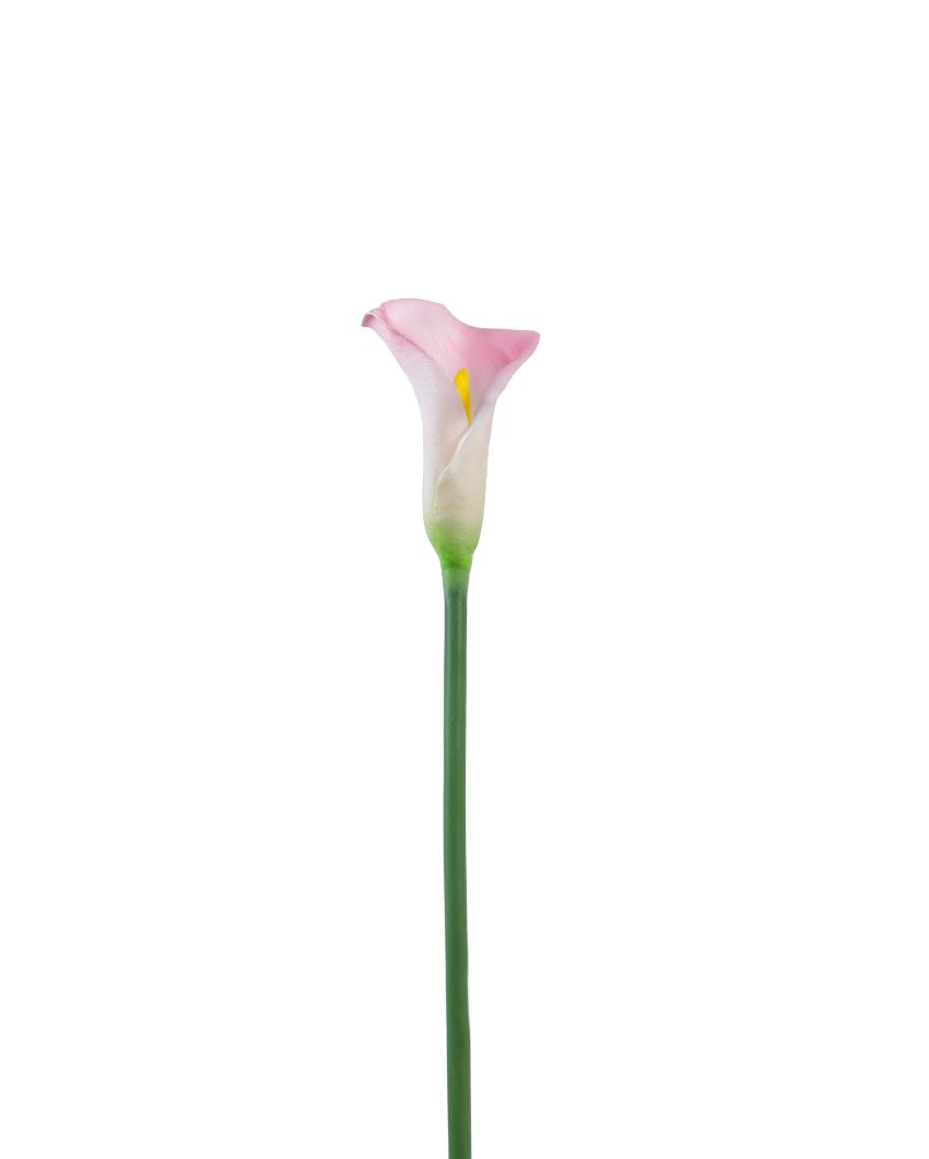 Graceful Artificial Calla Lily Flower 5 Sticks Without Pot | 28 inches