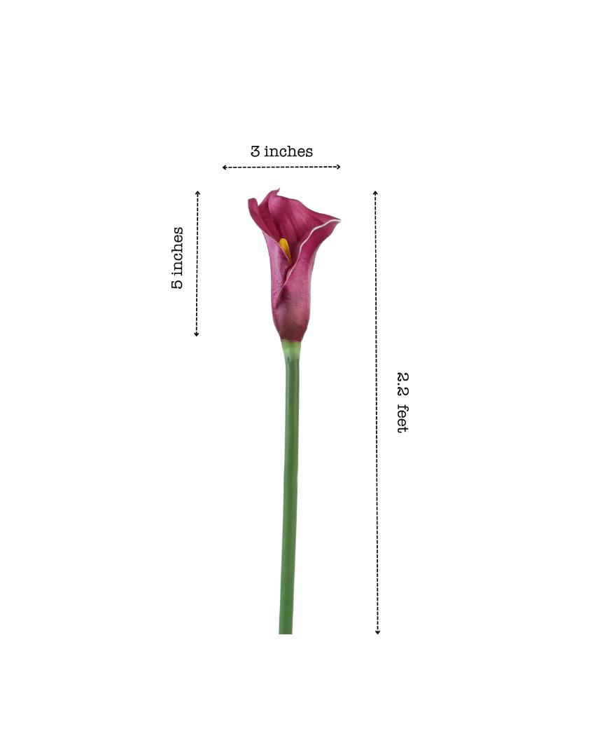 Graceful Artificial Calla Lily Flower 5 Sticks Without Pot | 28 inches