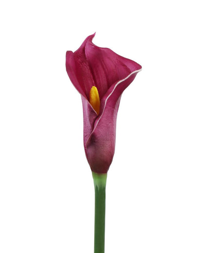 Graceful Artificial Calla Lily Flower 5 Sticks Without Pot | 28 inches