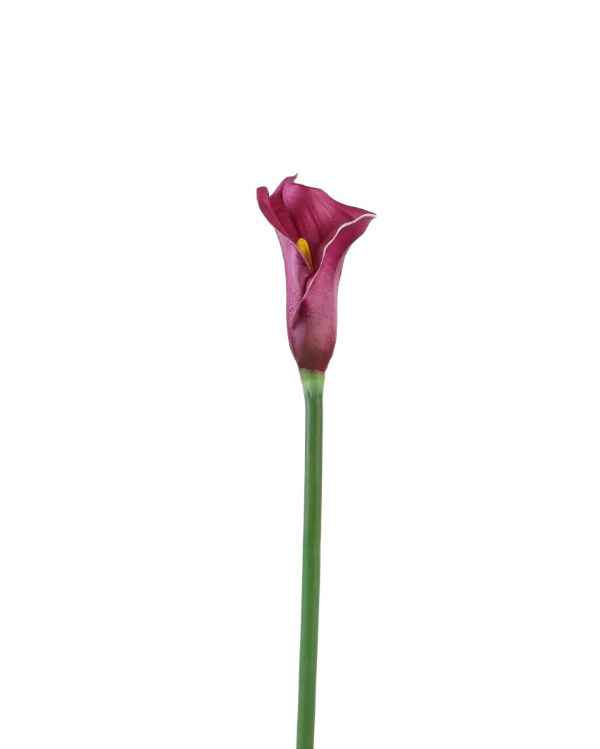 Graceful Artificial Calla Lily Flower 5 Sticks Without Pot | 28 inches