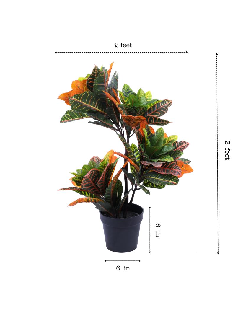 Whimsical Artificial Croton Plant with Black Pot | 3 Feet