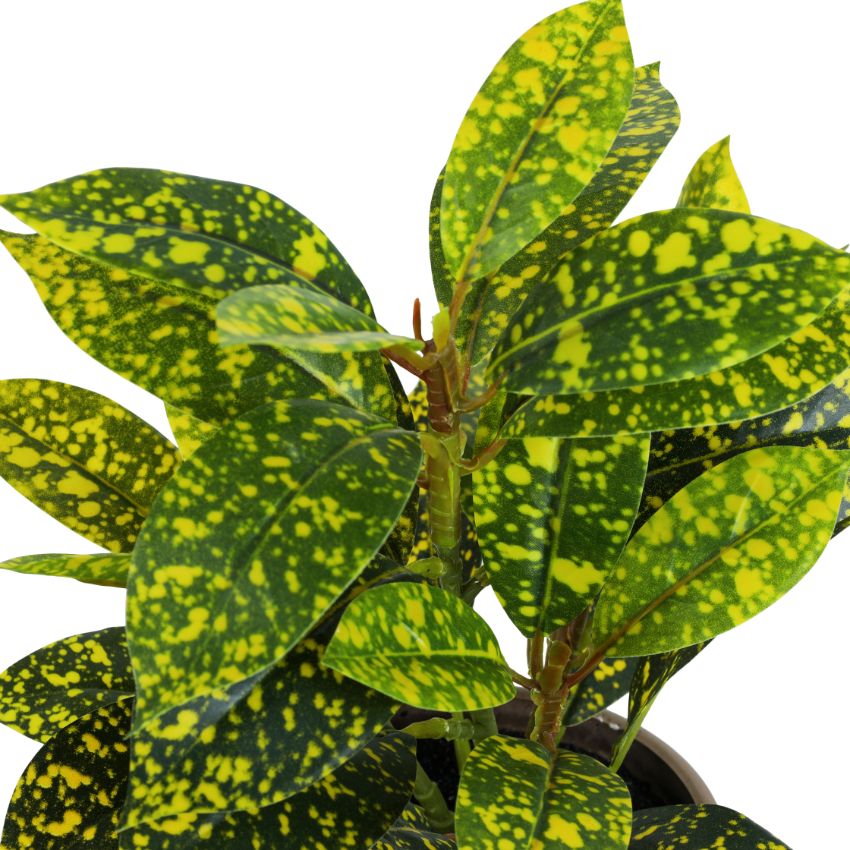 Artificial Potted Croton Plants Arrangement | Set of 2