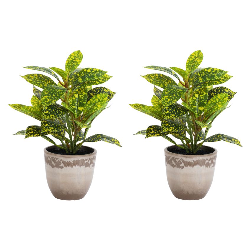 Artificial Potted Croton Plants Arrangement | Set of 2