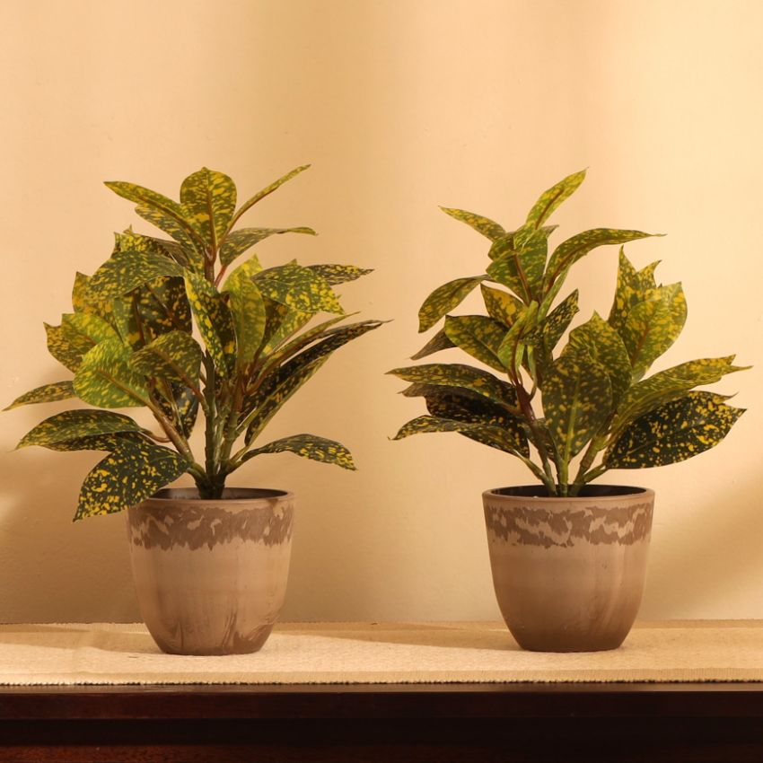 Artificial Potted Croton Plants Arrangement | Set of 2