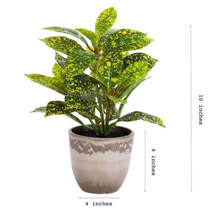 Artificial Potted Croton Plants Arrangement | Set of 2