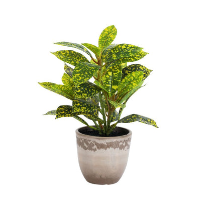 Artificial Potted Croton Plants Arrangement | Set of 2