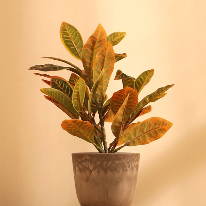 Artificial Potted Croton Plants Arrangement | Set of 2