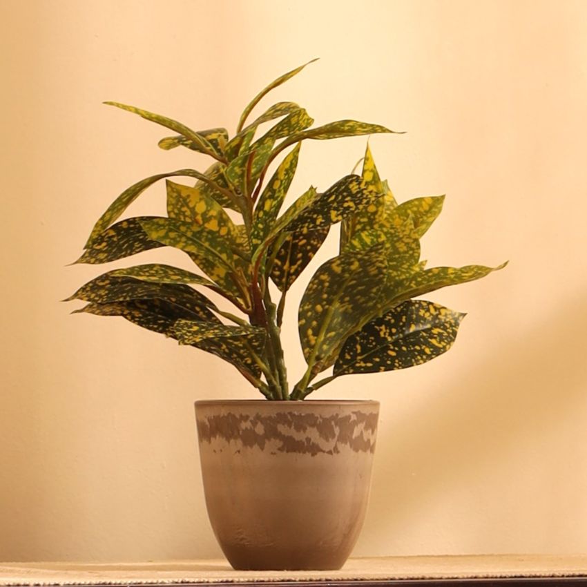 Artificial Potted Croton Plants Arrangement | Set of 2