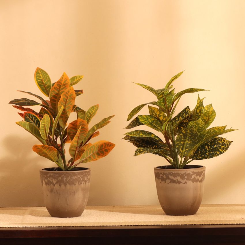 Artificial Potted Croton Plants Arrangement | Set of 2