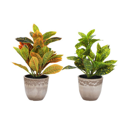 Artificial Potted Croton Plants Arrangement | Set of 2