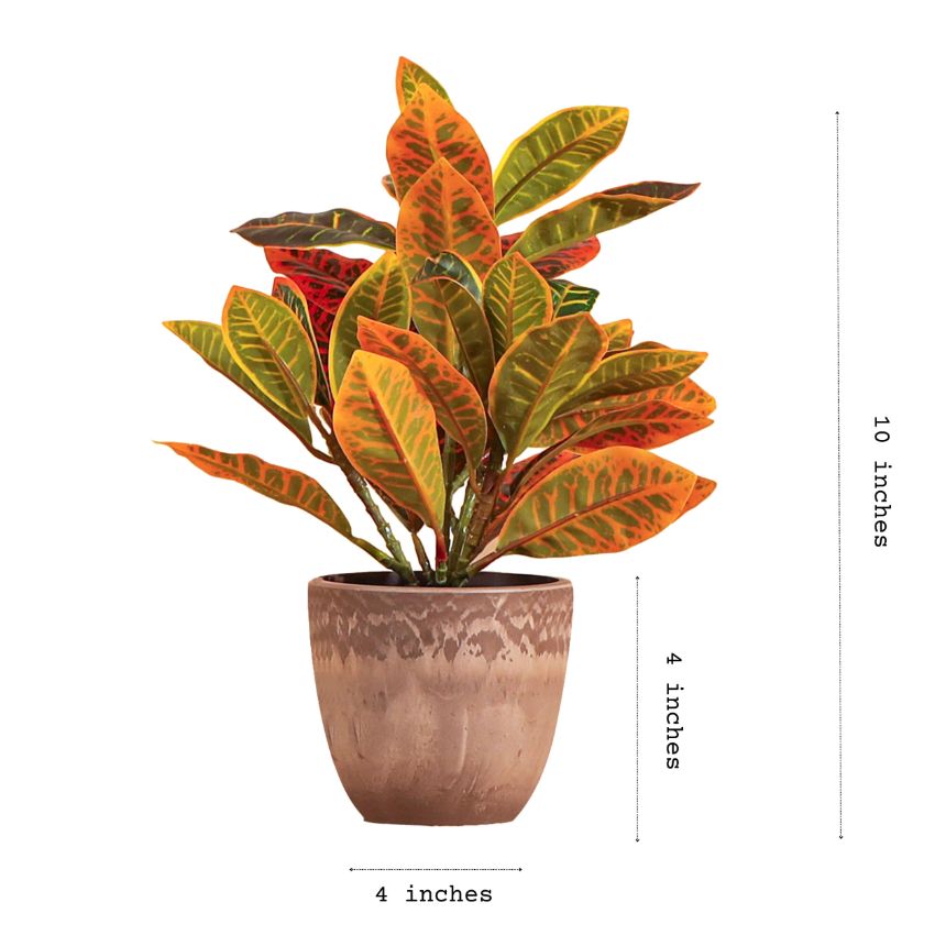 Artificial Potted Croton Plants Arrangement | Set of 2