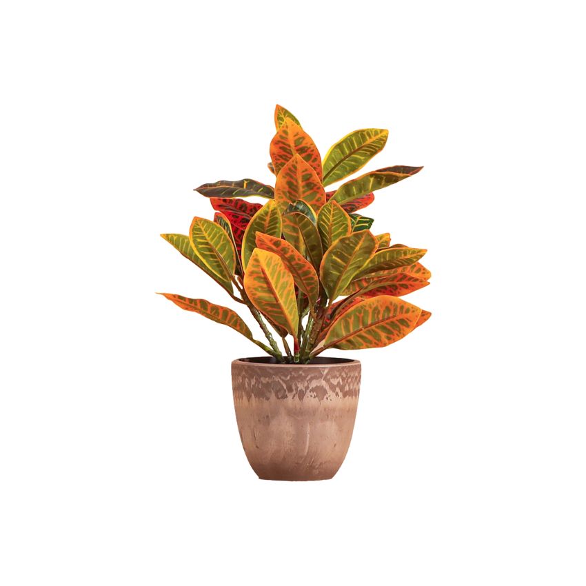 Artificial Potted Croton Plants Arrangement | Set of 2