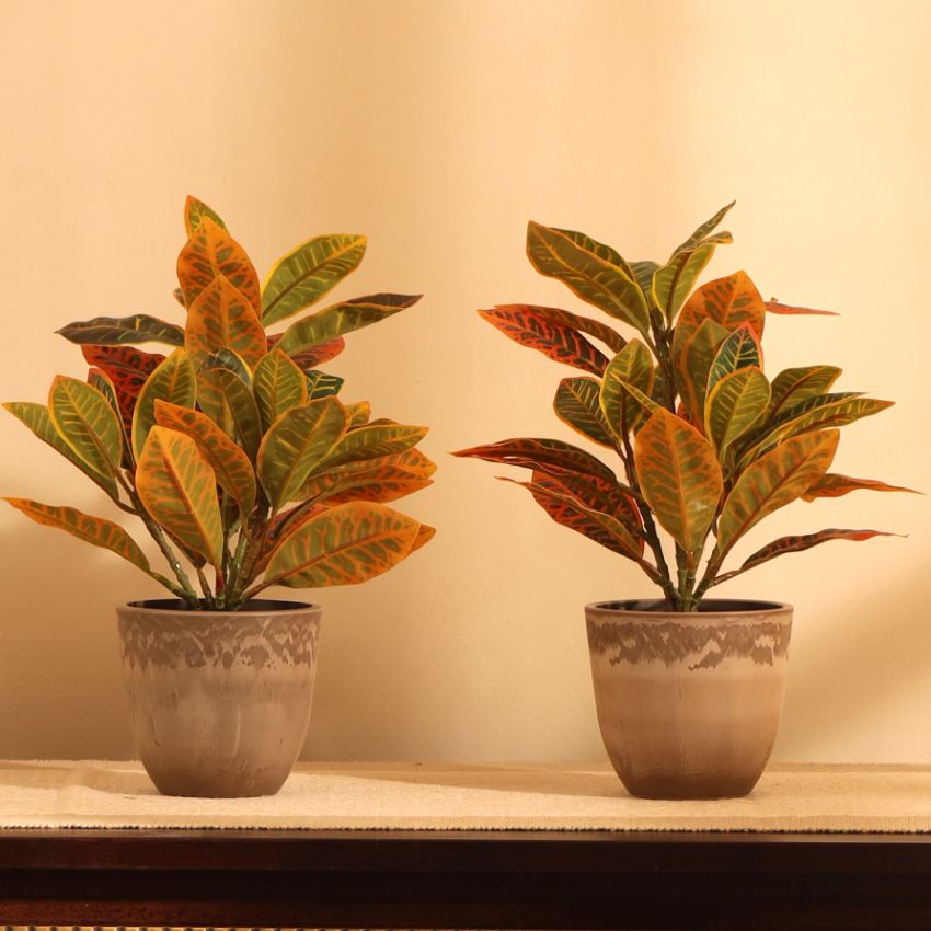 Artificial Potted Croton Plants Arrangement | Set of 2