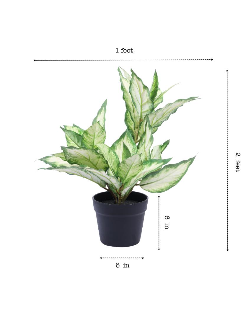 Artistic Artificial Green Dieffenbachia Potted Plant | 2 Feet