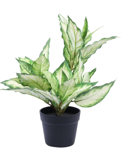 Artistic Artificial Green Dieffenbachia Potted Plant | 2 Feet