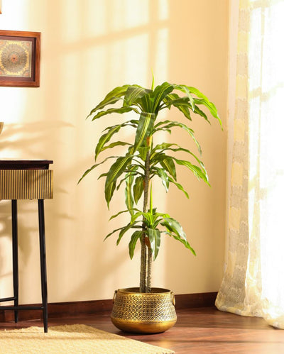 Eye-catching Artificial Dracaena Plant with Black Pot