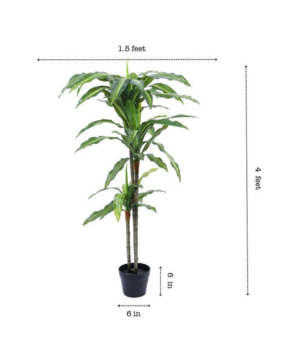 Eye-catching Artificial Dracaena Plant with Black Pot