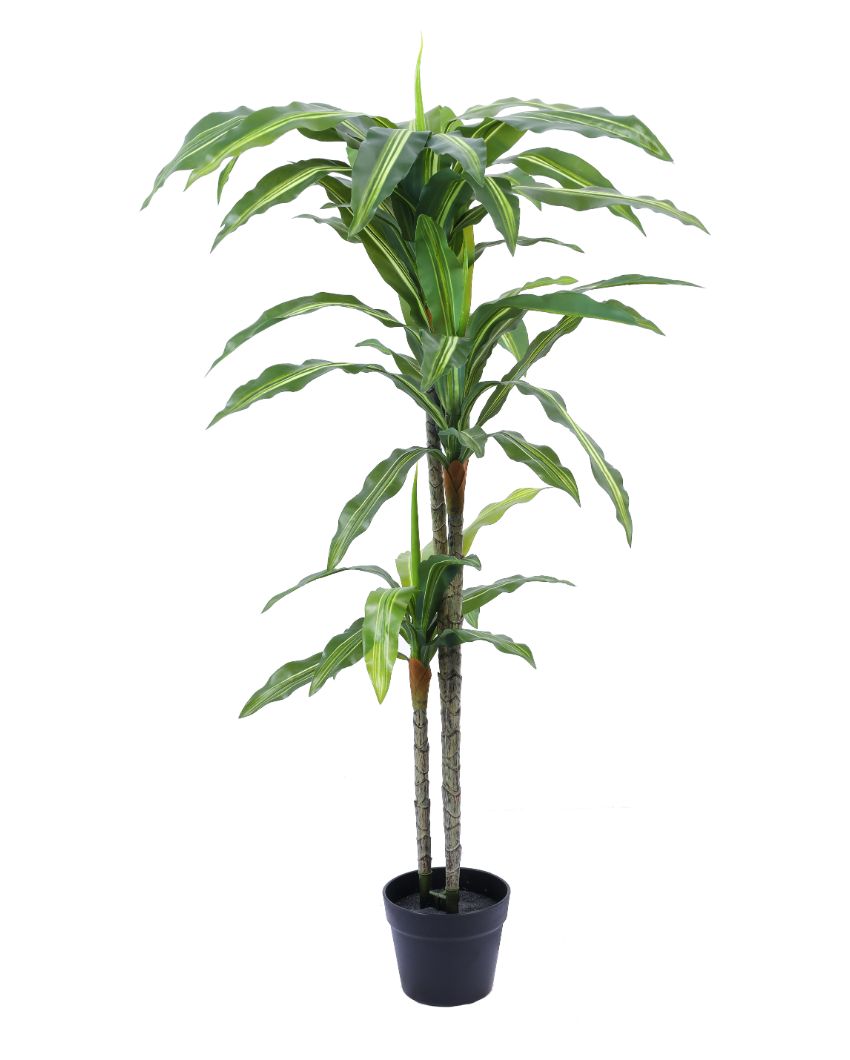 Eye-catching Artificial Dracaena Plant with Black Pot