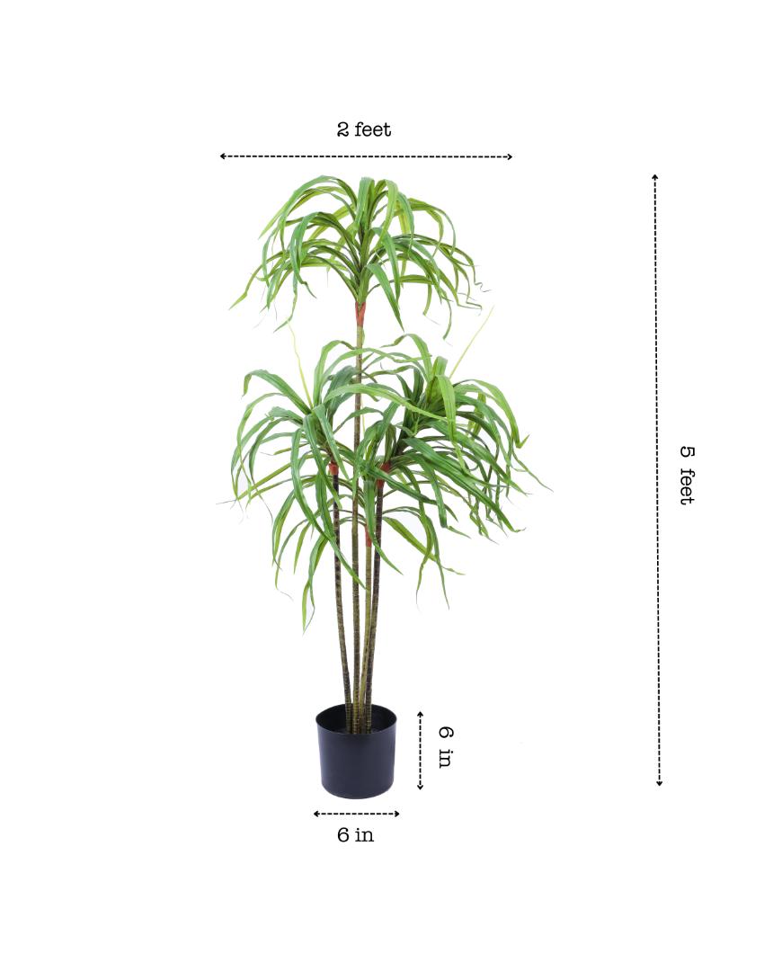 Contemporary Artificial Dracaena Plant with Black Pot