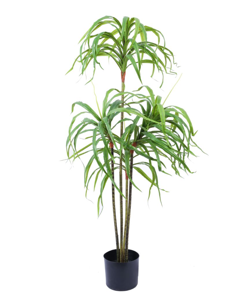 Contemporary Artificial Dracaena Plant with Black Pot