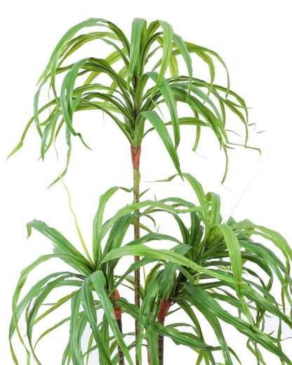 Contemporary Artificial Dracaena Plant with Black Pot