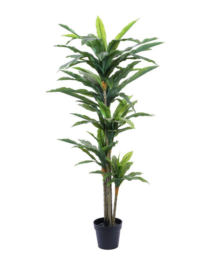 Eye-catching Artificial Dracaena Plant with Black Pot