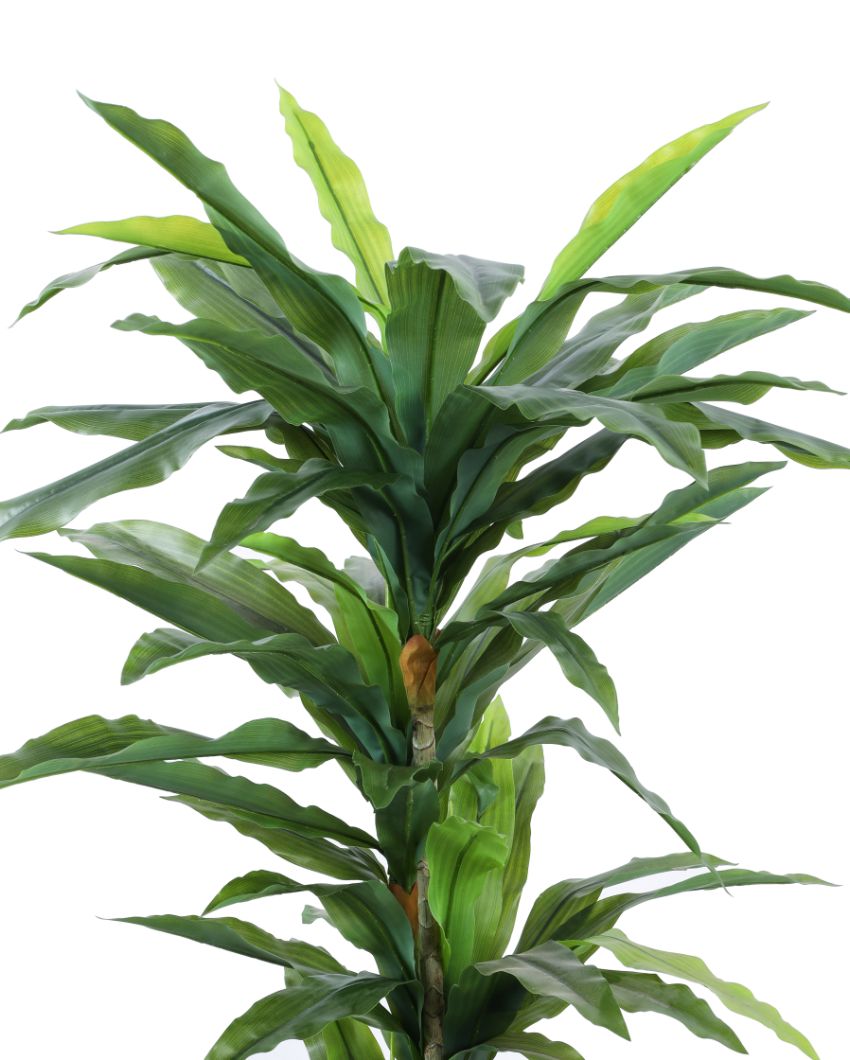 Eye-catching Artificial Dracaena Plant with Black Pot