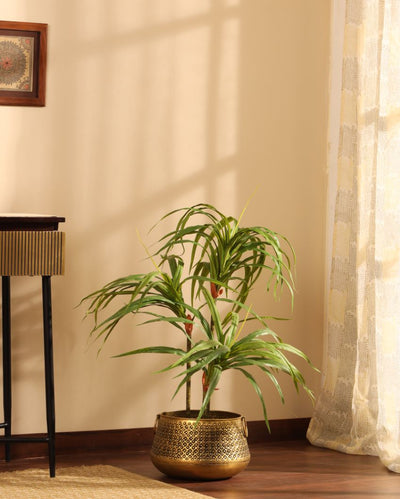 Contemporary Artificial Dracaena Plant with Black Pot