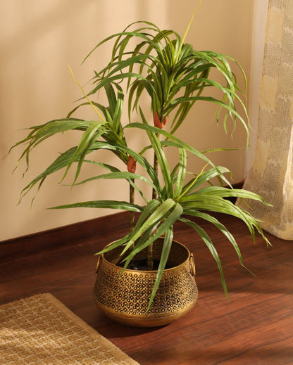 Contemporary Artificial Dracaena Plant with Black Pot