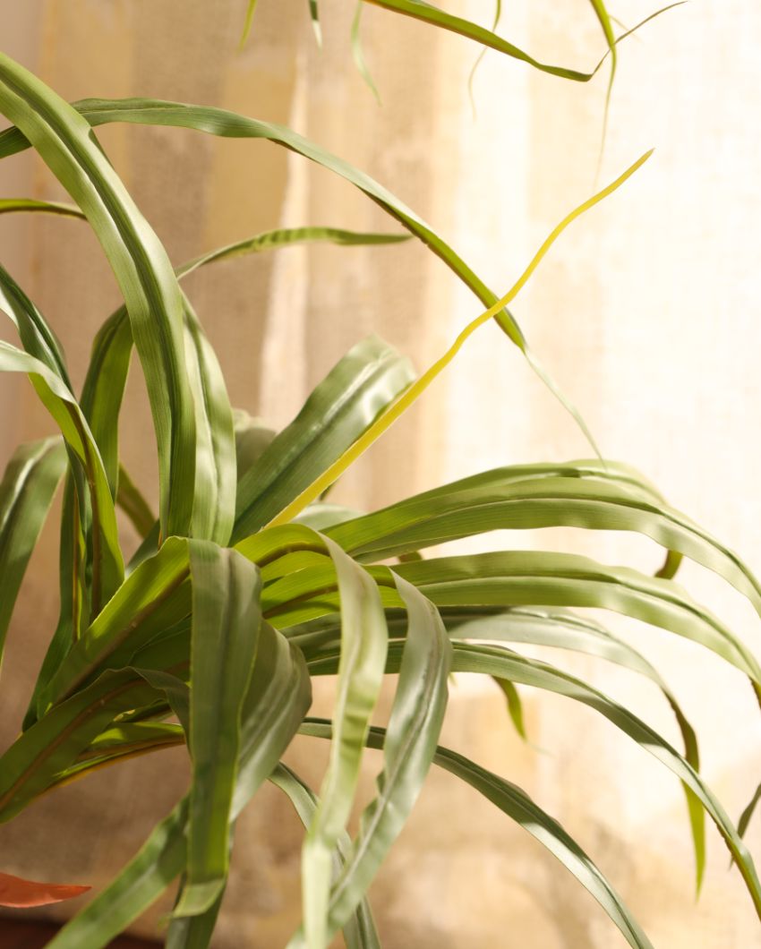 Contemporary Artificial Dracaena Plant with Black Pot