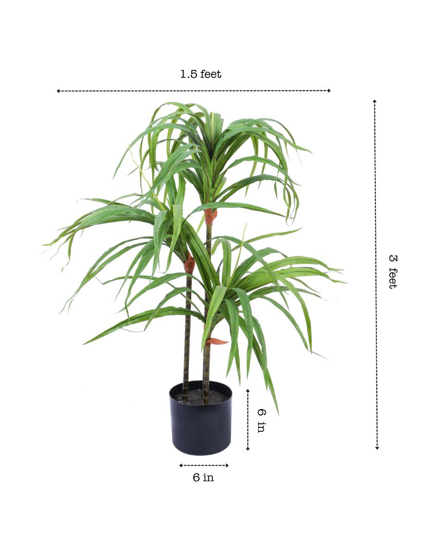 Contemporary Artificial Dracaena Plant with Black Pot