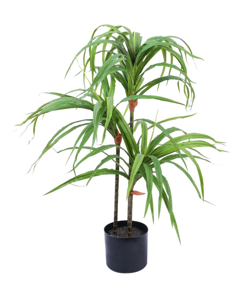 Contemporary Artificial Dracaena Plant with Black Pot