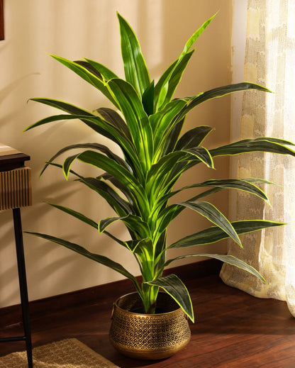 Versatile Artificial Dragon Plant with Black Pot | 4 Feet