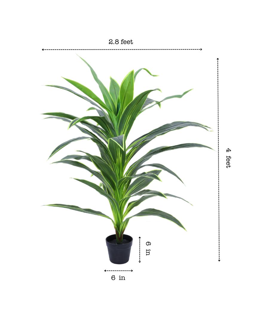 Versatile Artificial Dragon Plant with Black Pot | 4 Feet