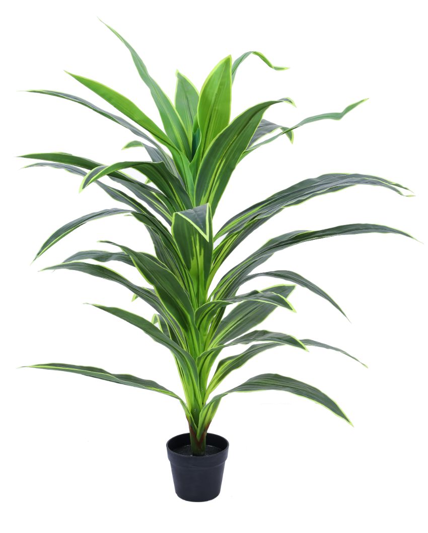 Versatile Artificial Dragon Plant with Black Pot | 4 Feet