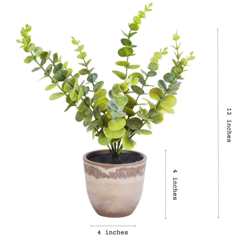 Artificial Potted Eucalyptus Plant Set | Set of 2