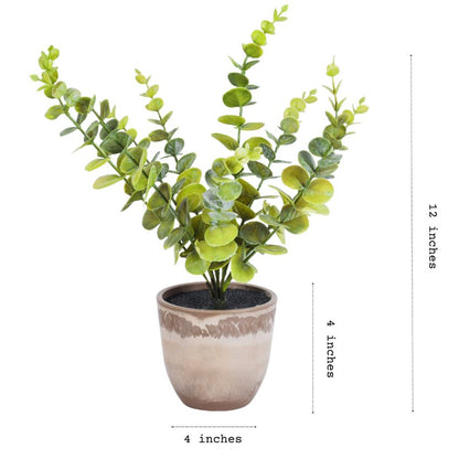 Artificial Potted Eucalyptus Plant Set | Set of 2